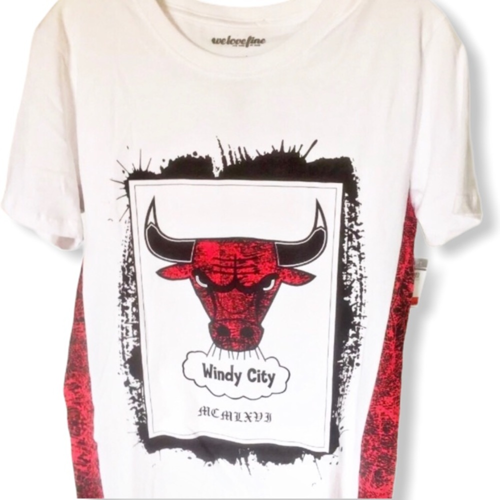 Mens Rue 21 Chicago Bulls Windy City NBA Collab Short Sleeve T Shirt Size Small - Picture 1 of 7